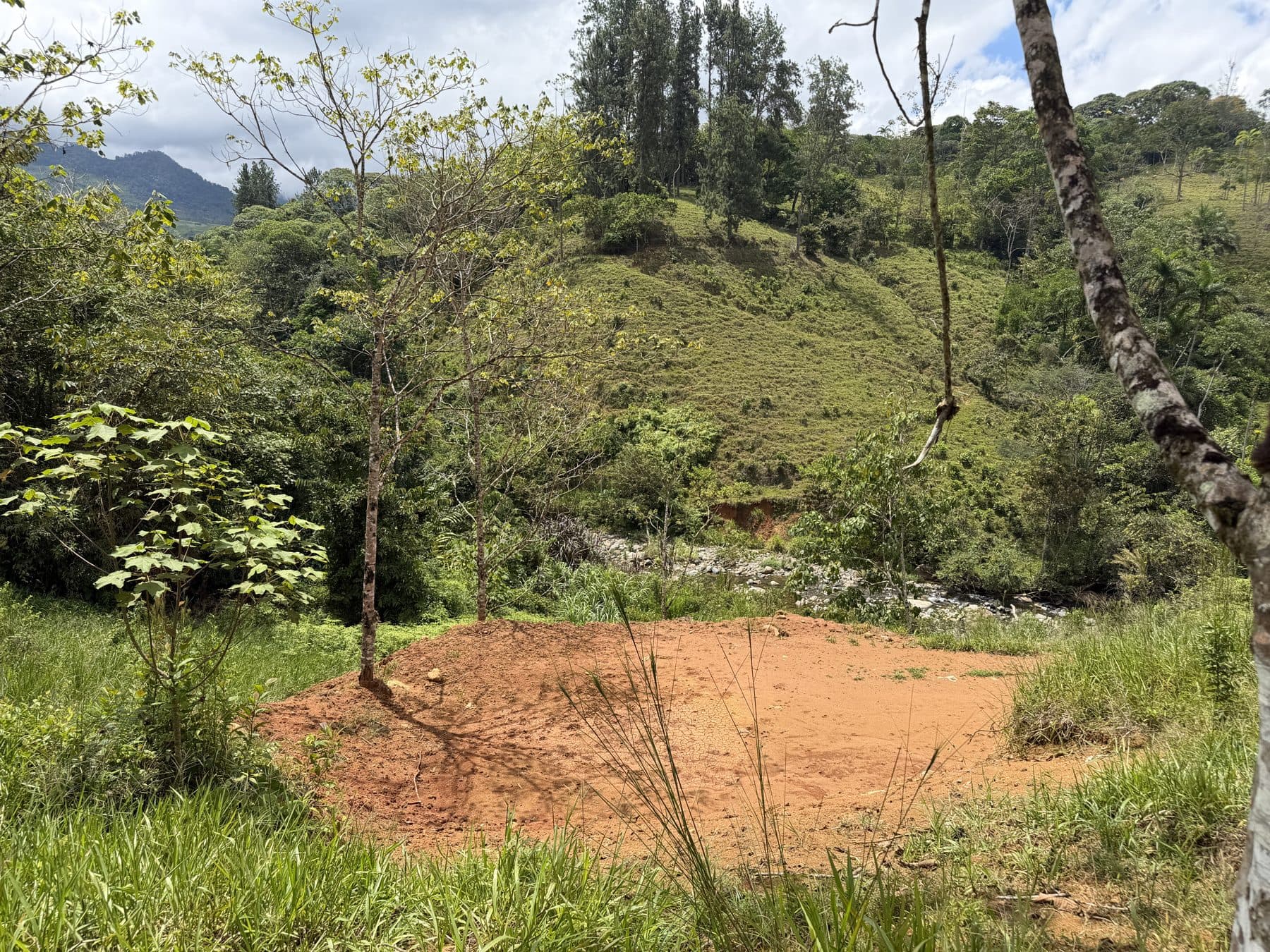 River pad (lowest platform, just above the river strip)