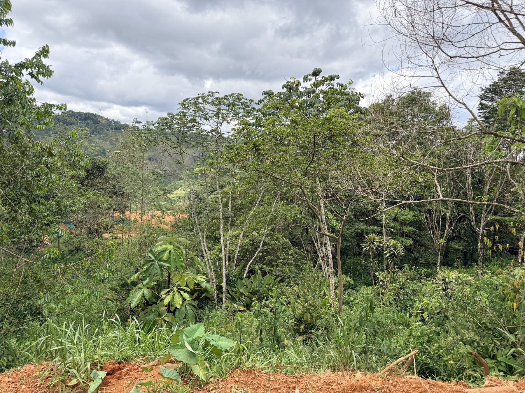 Upper pad, mountain view