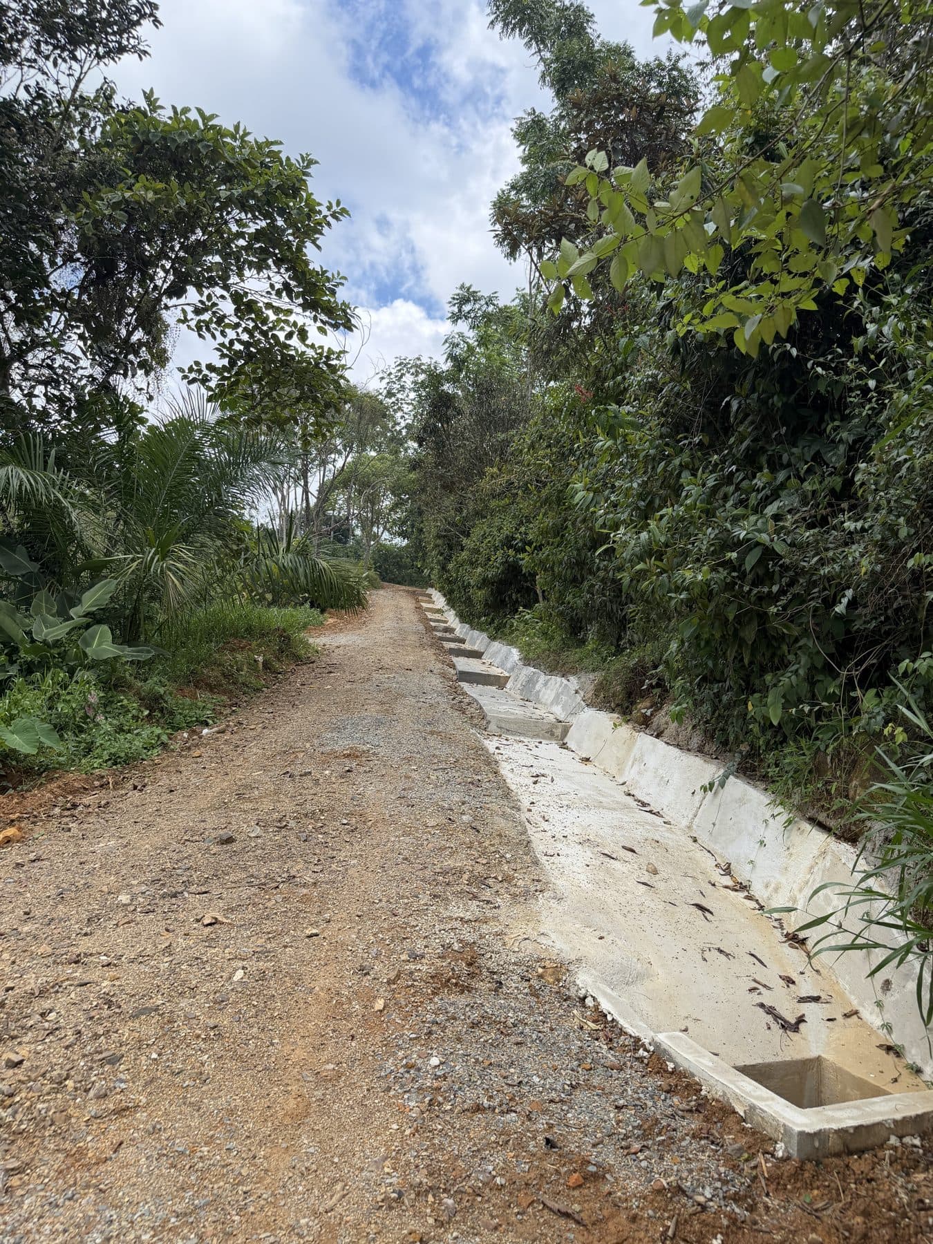 Engineered concrete drainage channel