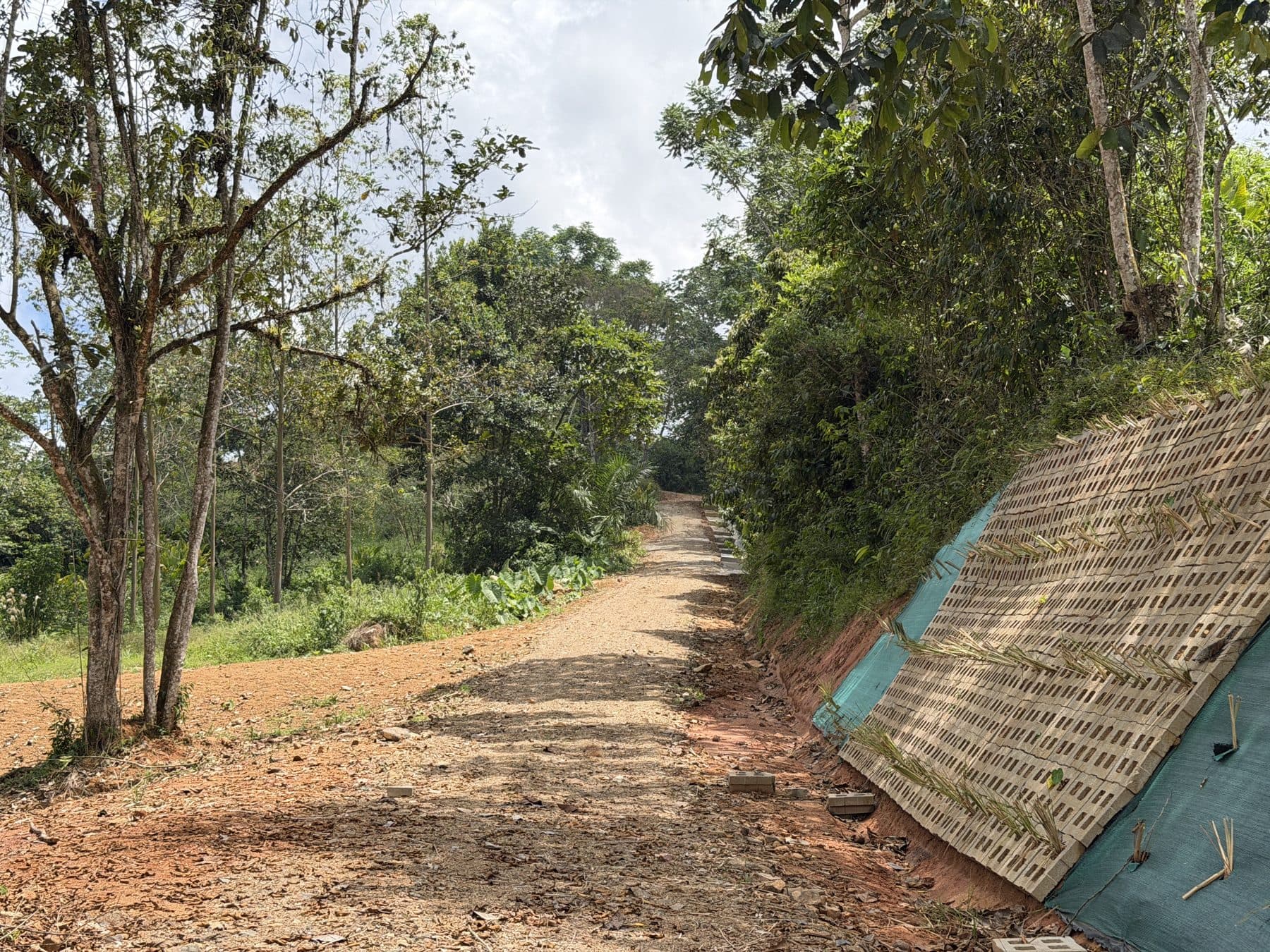 Internal road with erosion control