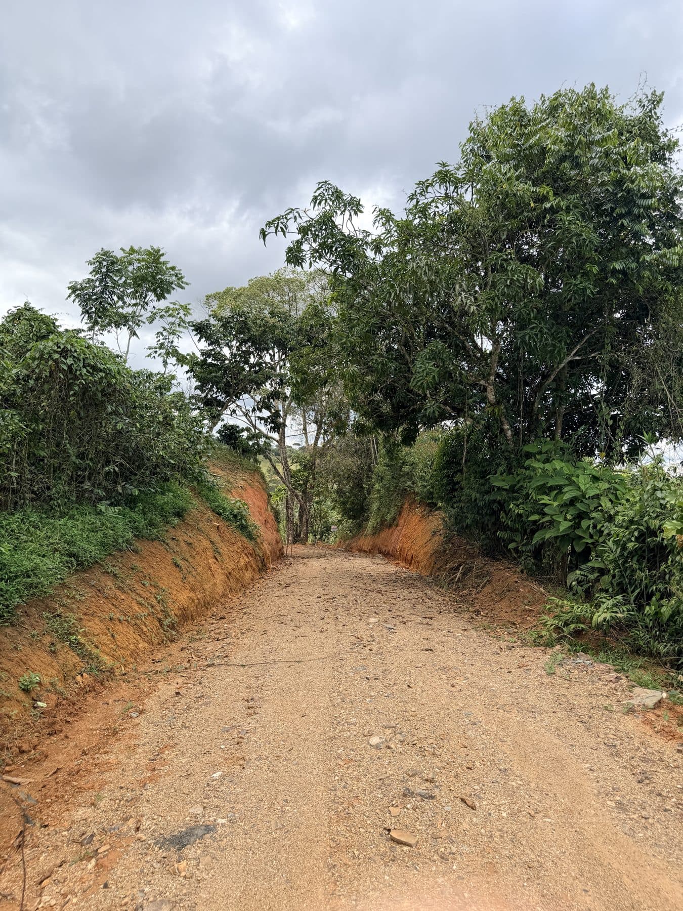 The private easement (7 m × 107 m) towards the public road