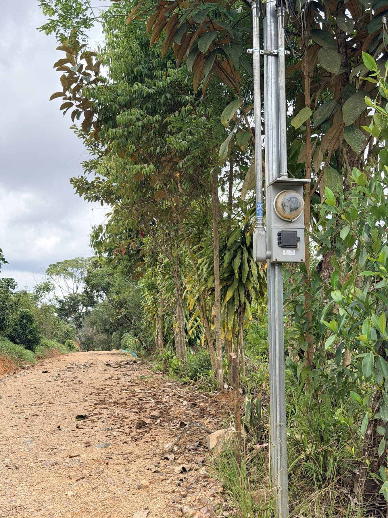 Start of the easement at the public road, with the electricity meter